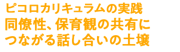 ¥Ô¥³¥í¥«¥ê¥¥å¥é¥à¤Î¼ÂÁ©